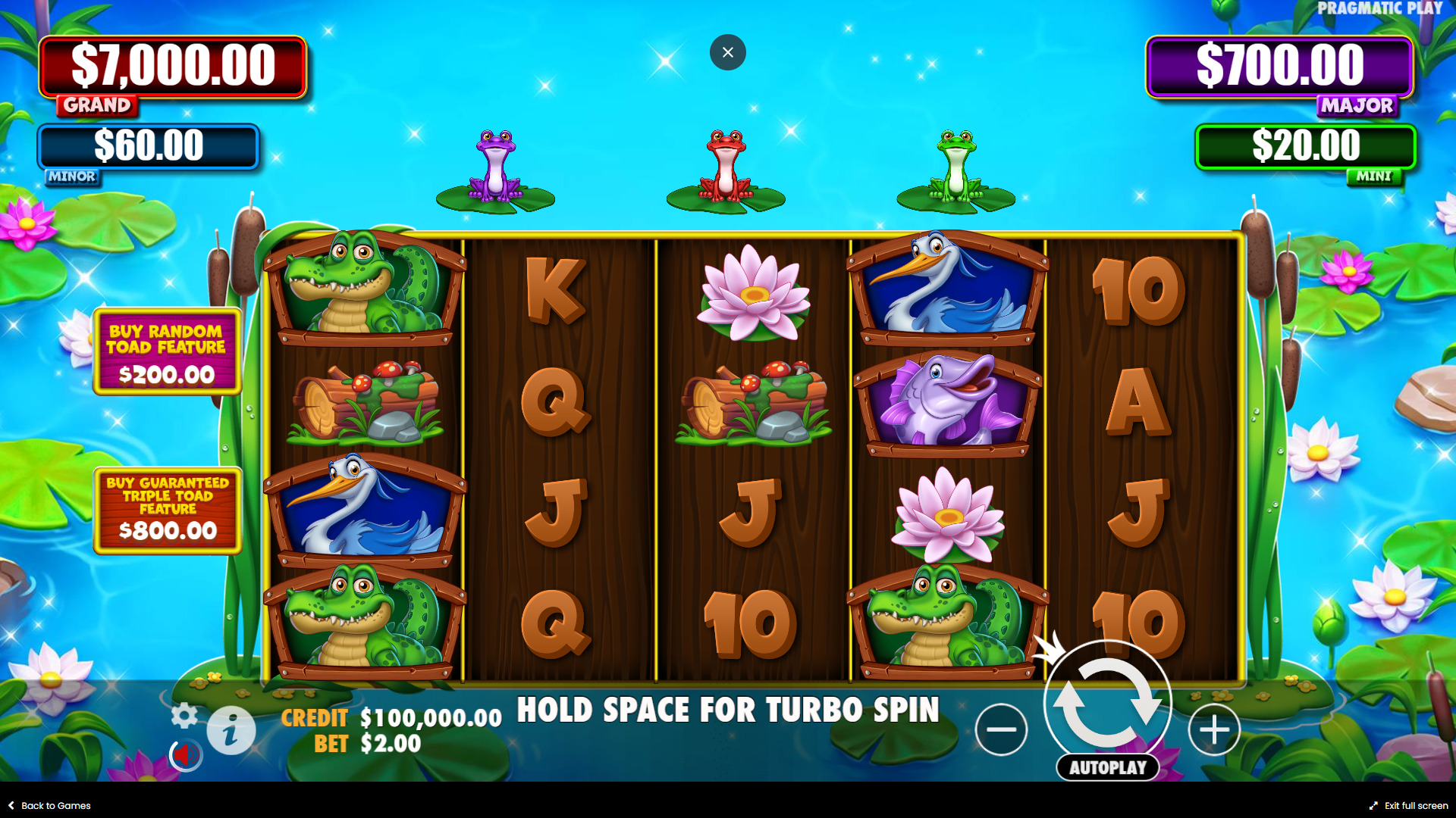 Tiny Toads Game overview
