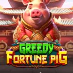 Greedy Fortune Pig