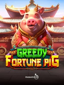 Greedy Fortune Pig