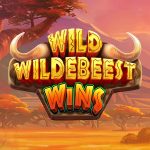 Wild Wildebeest Wins